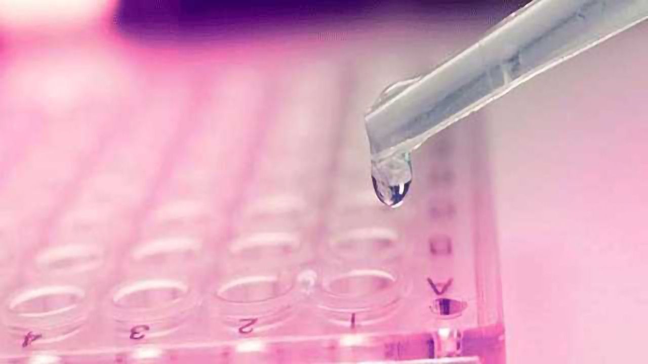 Benefits of Increasing the Time Limit for Embryo Research Highlighted