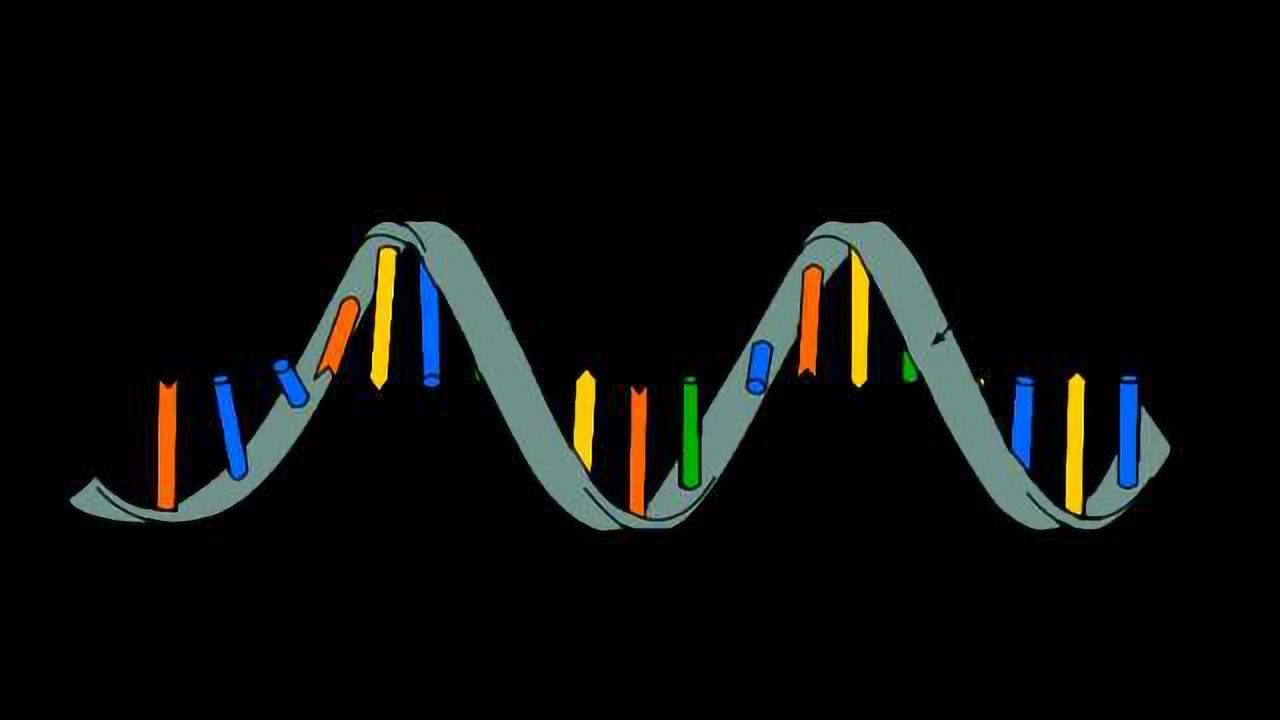 A Scientific Dating Game: Biologists Play RNA-Protein Matchmakers