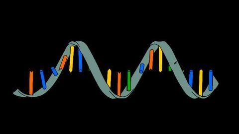 A Scientific Dating Game: Biologists Play RNA-Protein Matchmakers