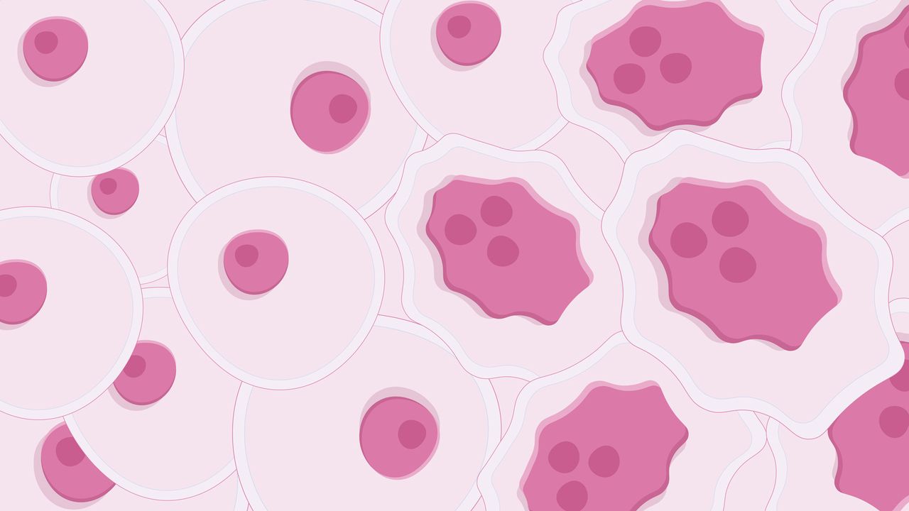 Cancer Cells vs Normal Cells