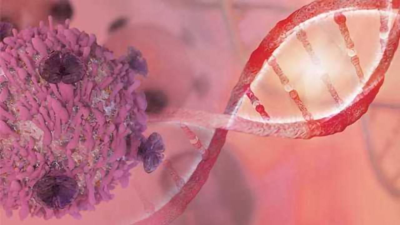 Atlas of Genes Helps Identify New Treatment Targets in Breast Cancer