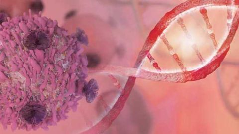 Atlas of Genes Helps Identify New Treatment Targets in Breast Cancer