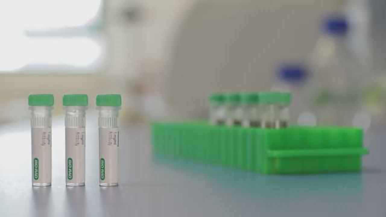 Bio-Rad Announces the Launch of Anti-Ranibizumab Antibodies