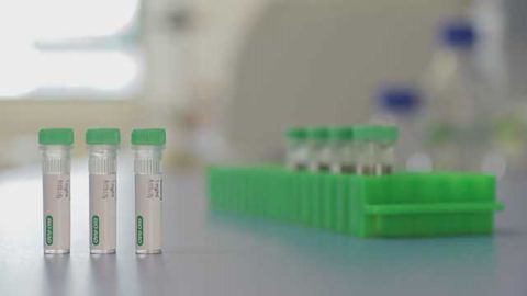 Bio-Rad Announces the Launch of Anti-Ranibizumab Antibodies