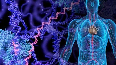 Hidden Signs in Cancer Tissue