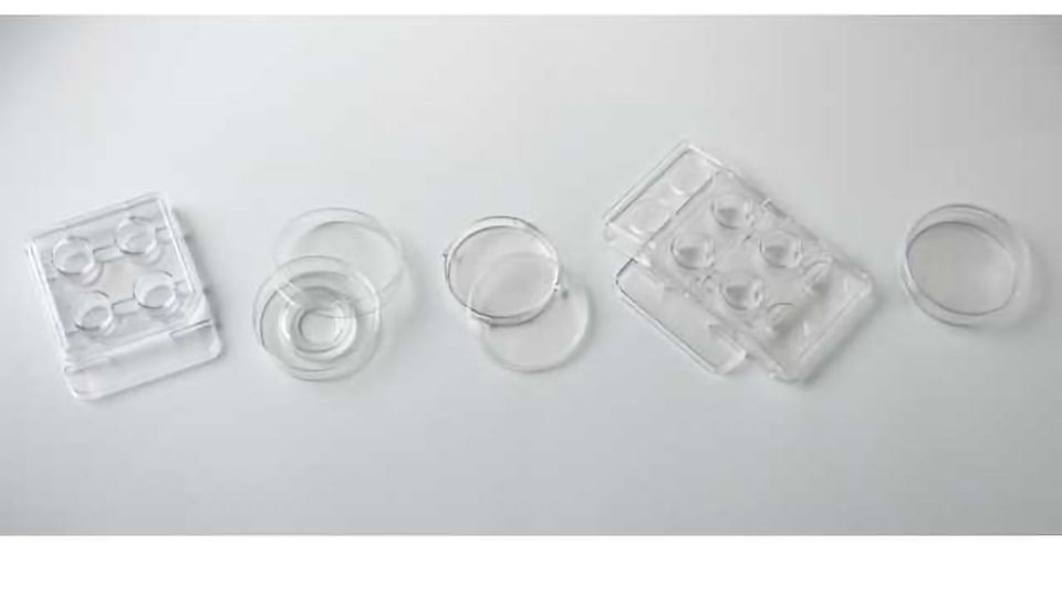 Irvine Scientific now offers Falcon® IVF products in the United States content piece image