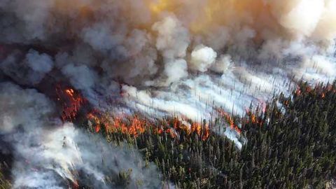 Cooling Effect of Historic Fires Underestimated