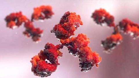 Rockland Immunochemicals, Inc. CSO Opines “Benefits of Polyclonal Antibodies” in Peer-reviewed Article