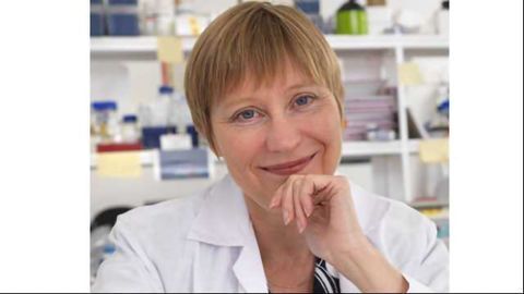 Phico Therapeutics Awarded Innovate UK Funding for £1.4 Million ($1.87M) Antibacterial Therapy Project