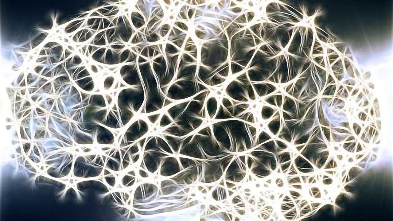 3D Electron Microscopy of Synapse Building