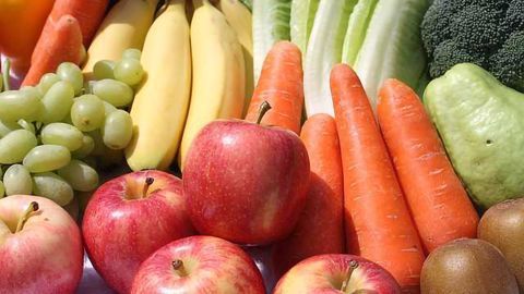 1/3 of Food Produced Globally Lost or Wasted