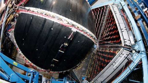 Protons Rule the Roost in Neutron Stars