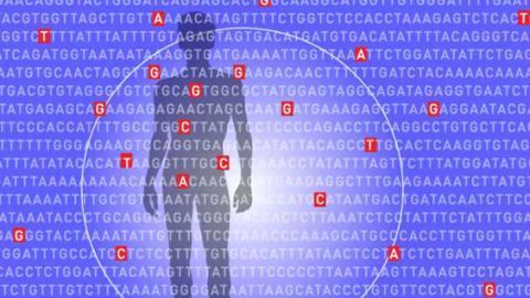 Keeping Score On Polygenic Risk Factors
