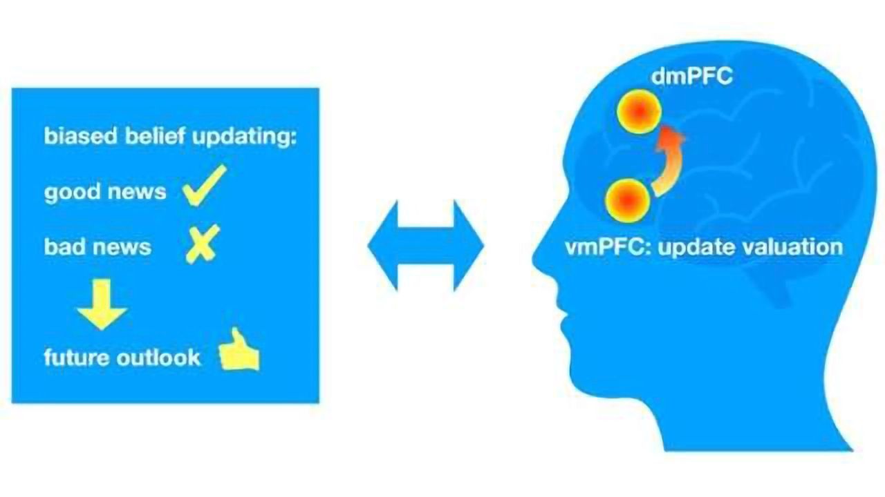 The Circuitry That Underlies Belief Biasing Uncovered