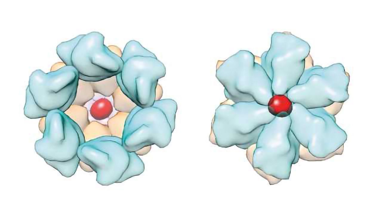 Supercomputer Simulations Shows HIV Targets