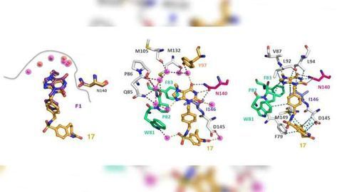 Effective Approach to Optimizing Medicinal Molecules