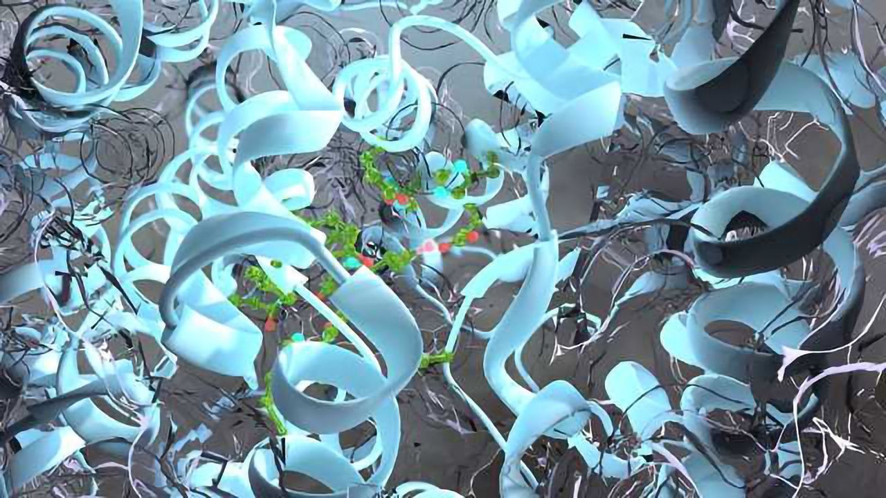 探索集成结构生物学的质谱工具箱