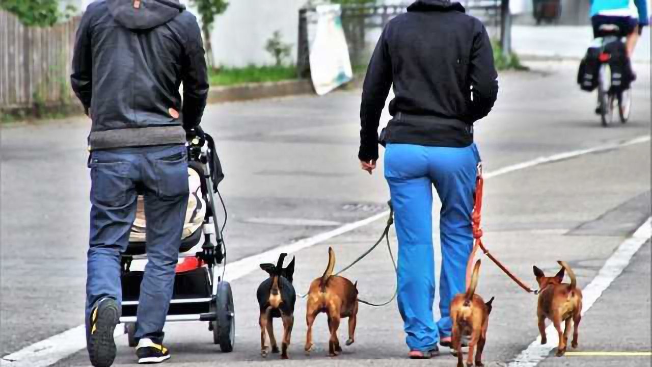 Up to 60% more Pollution Exposure for Babies in Prams