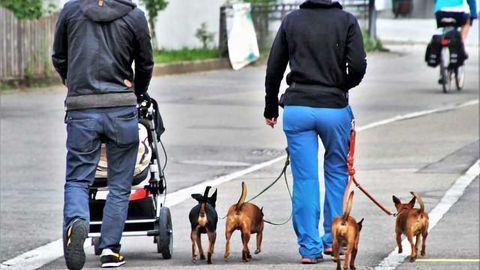 Up to 60% more Pollution Exposure for Babies in Prams