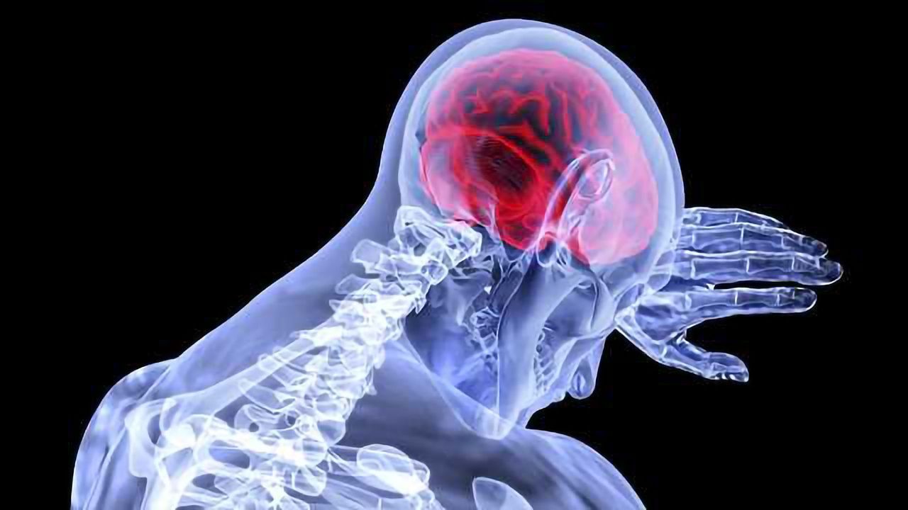 Immune Cells in the Brain Have Surprising Influence on Sexual Behavior