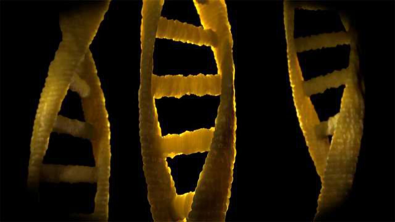 New Test Helps ID Those at Risk for Five Deadly Diseases