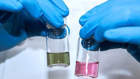 Rapidly Detecting Harmful Bacteria with Green Gold