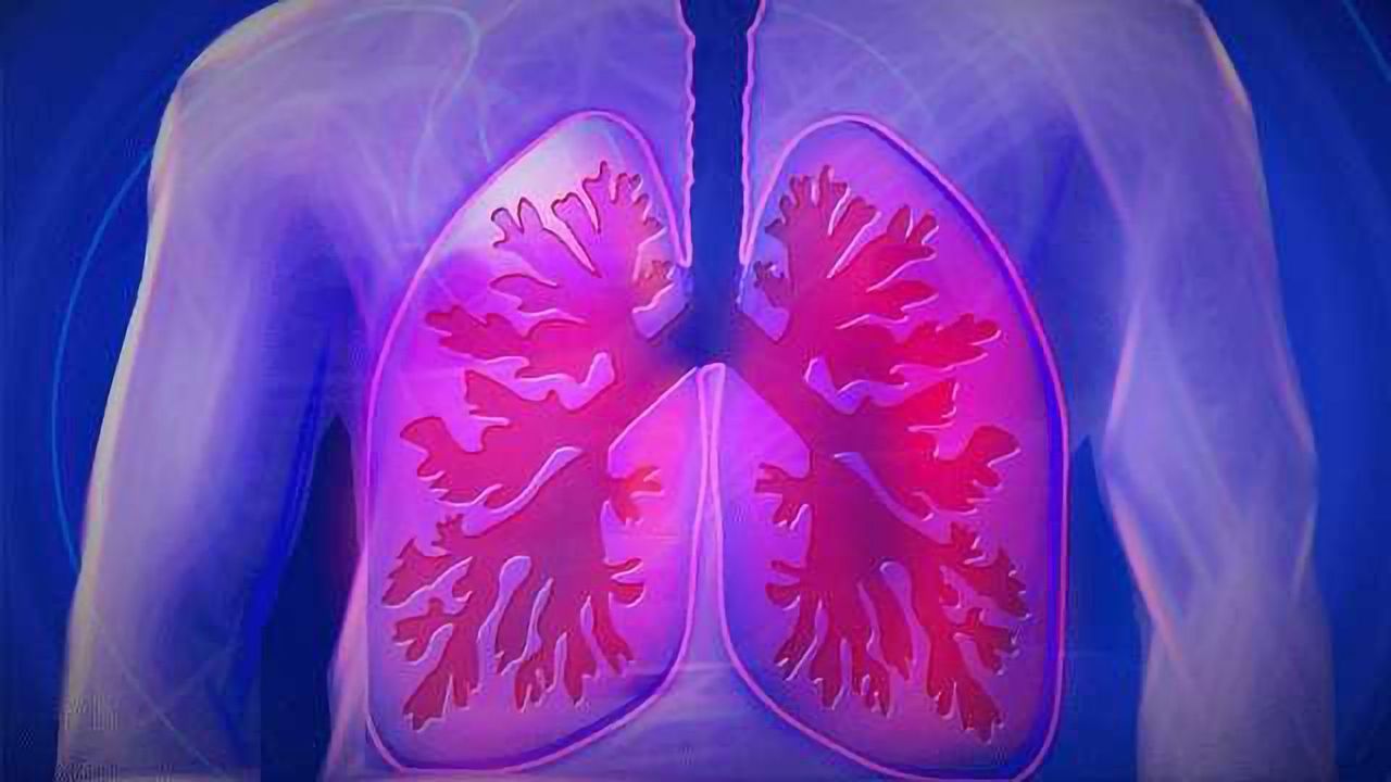 3D Bioprinting is Medicine's Next Frontier