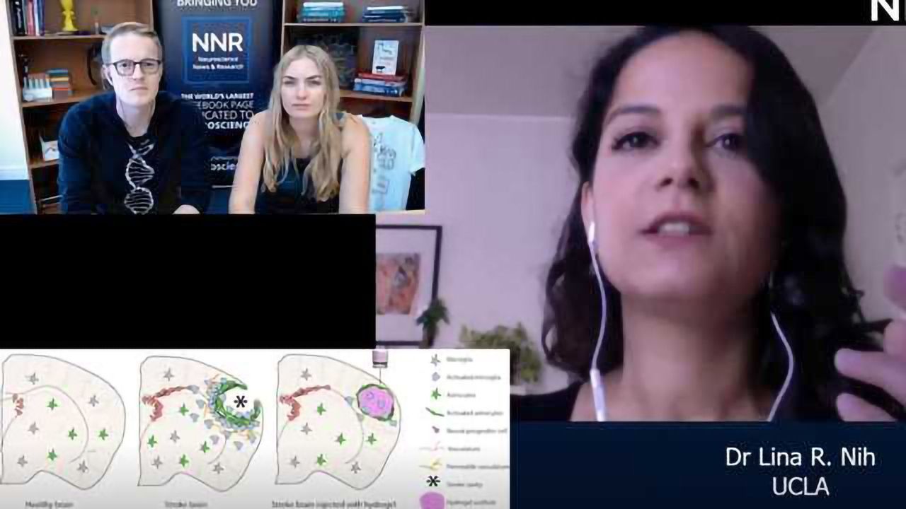 Dr. Lina R. Nih Discusses Her Novel Approach to Brain Vasculature Regeneration