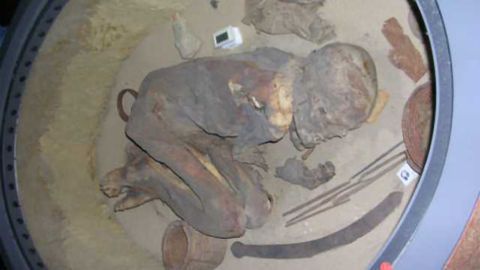 Enduring Embalming "Recipe" Revealed by Egyptian Mummy