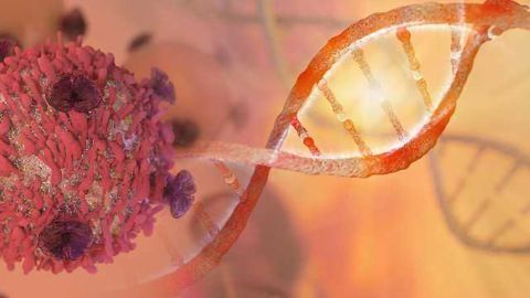 Tumor 'Diaries' Track Cancers' Evolutionary History & Predict the Future