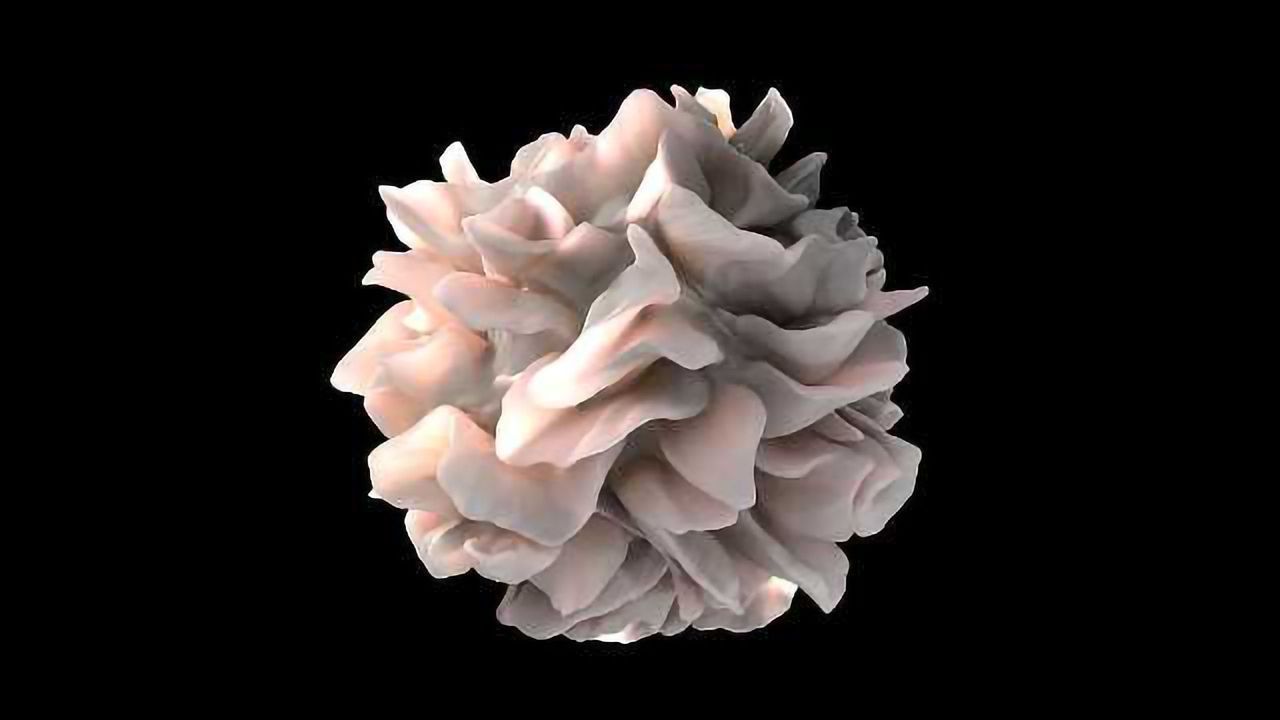 Protein Pair Provide Immune Insight