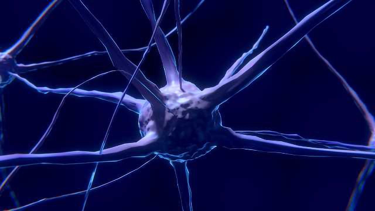 Bioinformatics Tools Uncover Childhood Seizure Cause