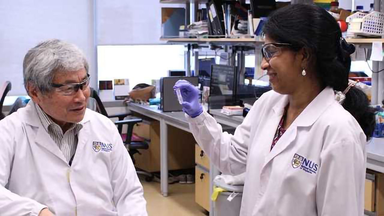 How RUNX Proteins Run the Show in DNA Repair