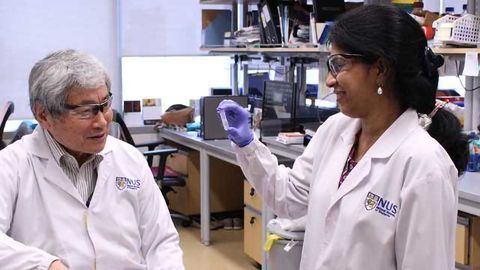 How RUNX Proteins Run the Show in DNA Repair