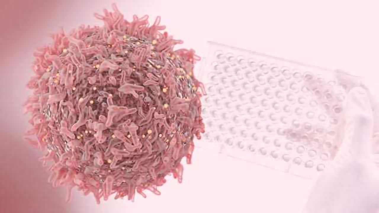 6 Tips to Optimize Your Immunoassay