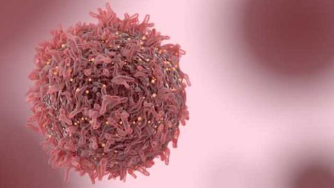 New Method of Diagnosing Cancer with Malaria Protein