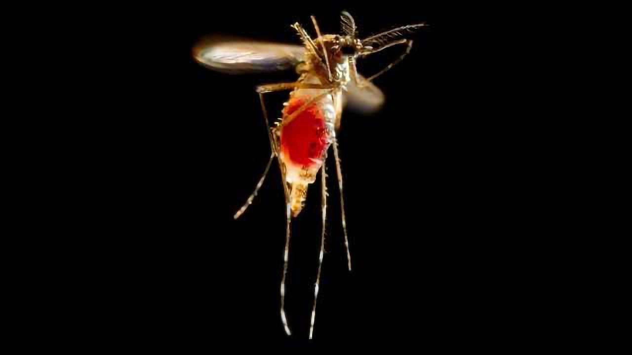 Public Survey Backs Gene Engineering To Prevent Disease