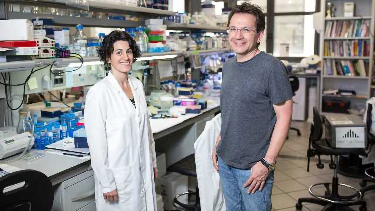 Protein That Coordinates Expression of Hundreds of Genes is Altered in Autism