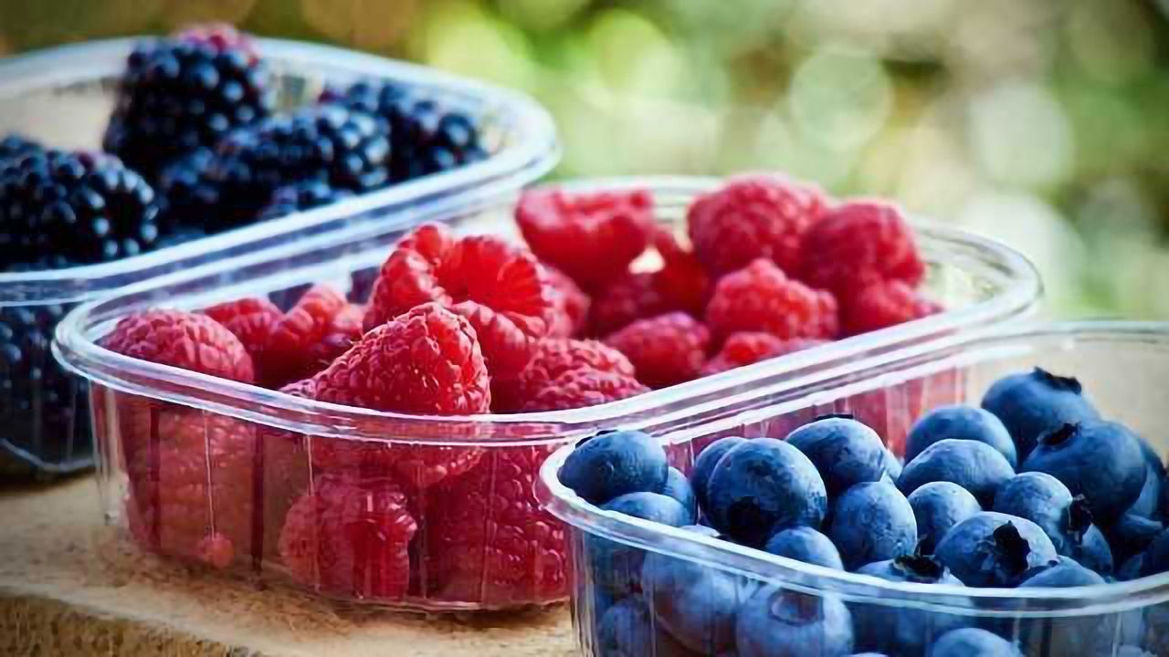 Plant-Based Food Preservative that's More Effective than Artificial Ones