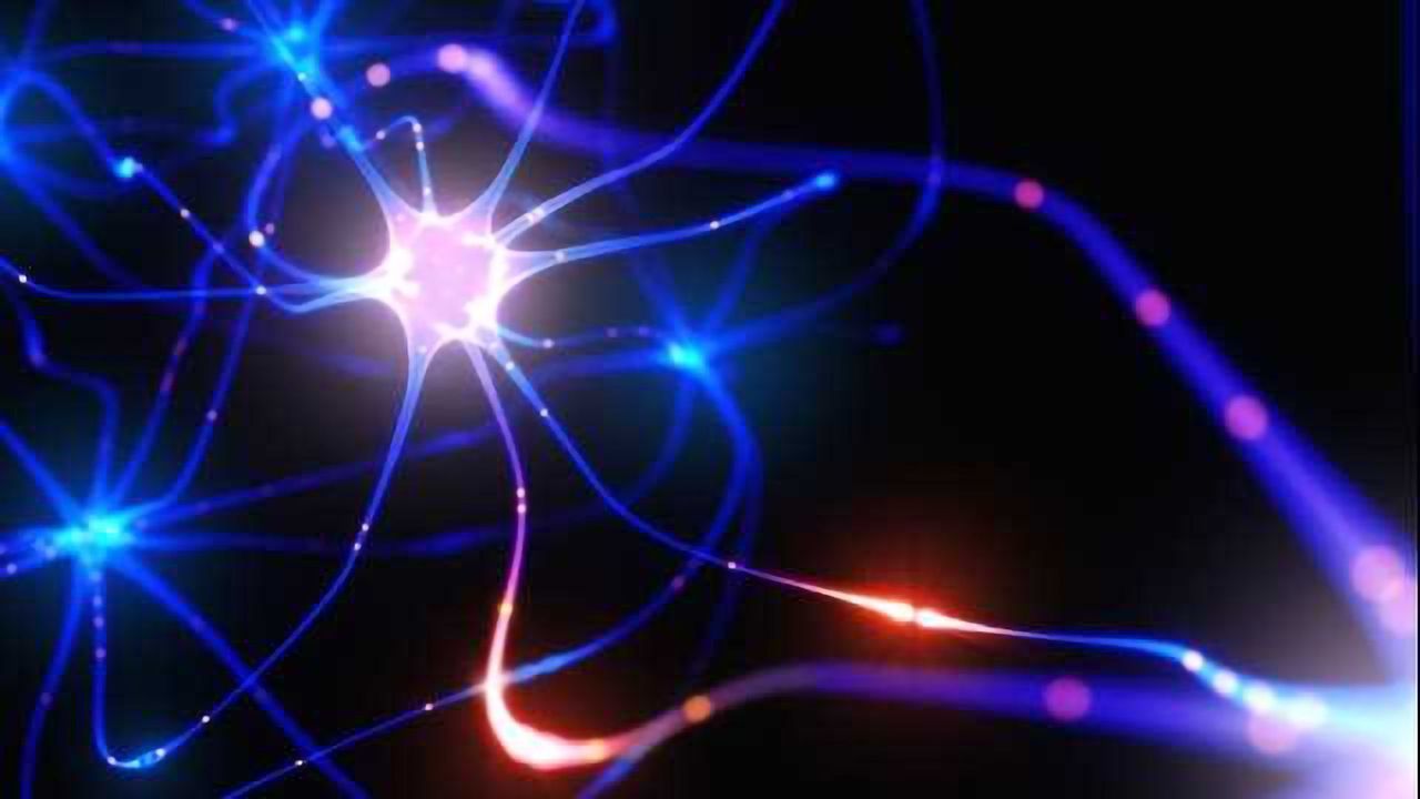 Developing Neuroprotective Therapies: Defending the Nervous System from Damage