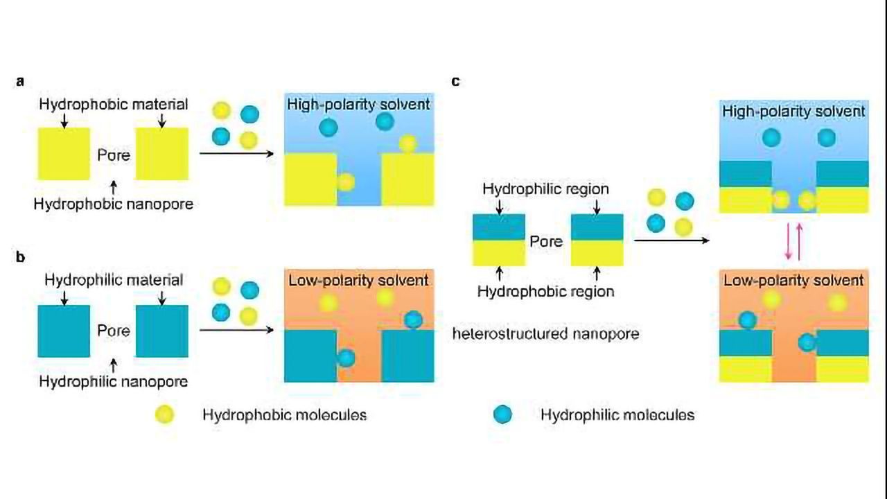 An Easier Way to Separate Glycopeptides
