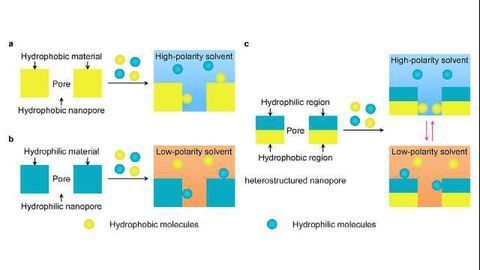 An Easier Way to Separate Glycopeptides
