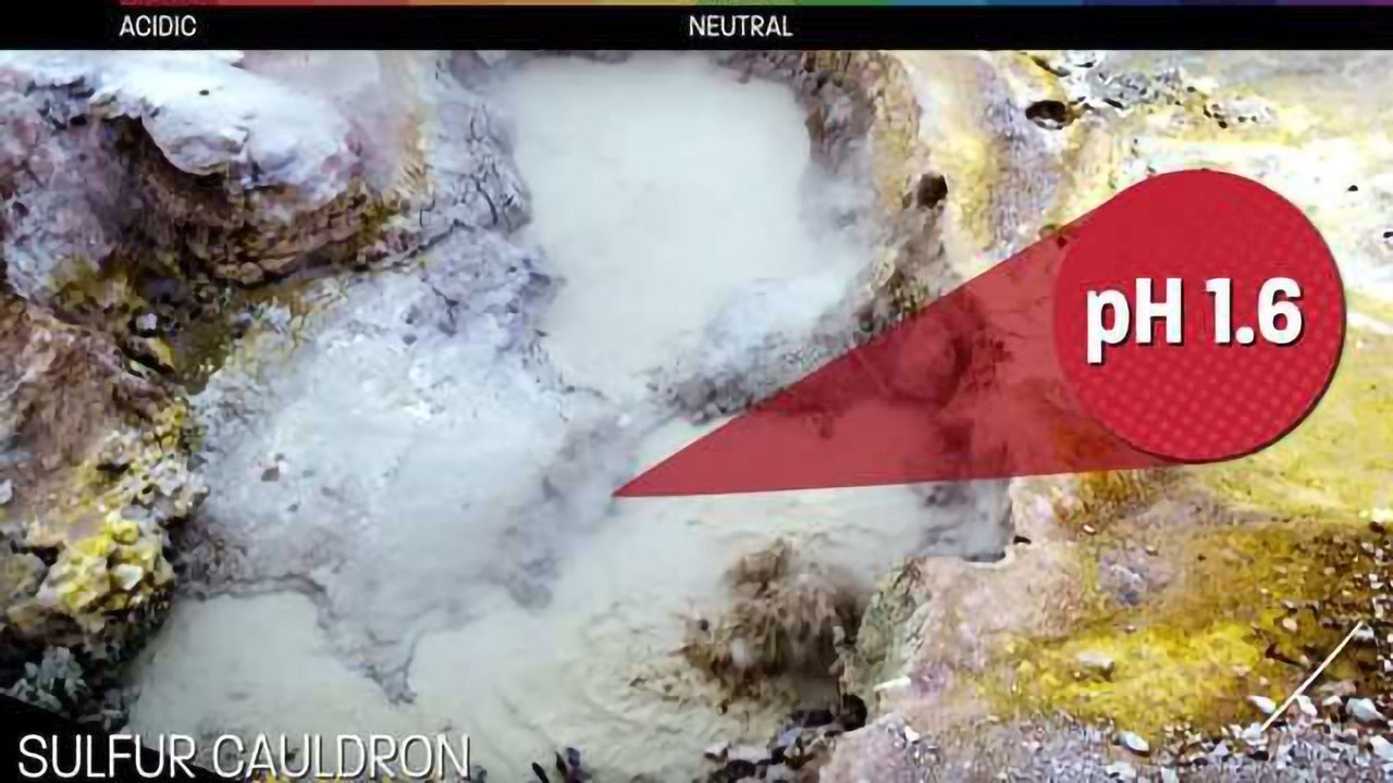 Yellowstone Steaming Acid Pools of Death