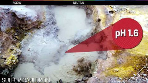 Yellowstone Steaming Acid Pools of Death