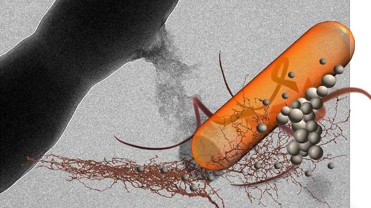 Detecting and Treating Harmful Oral Bacteria Without Drugs