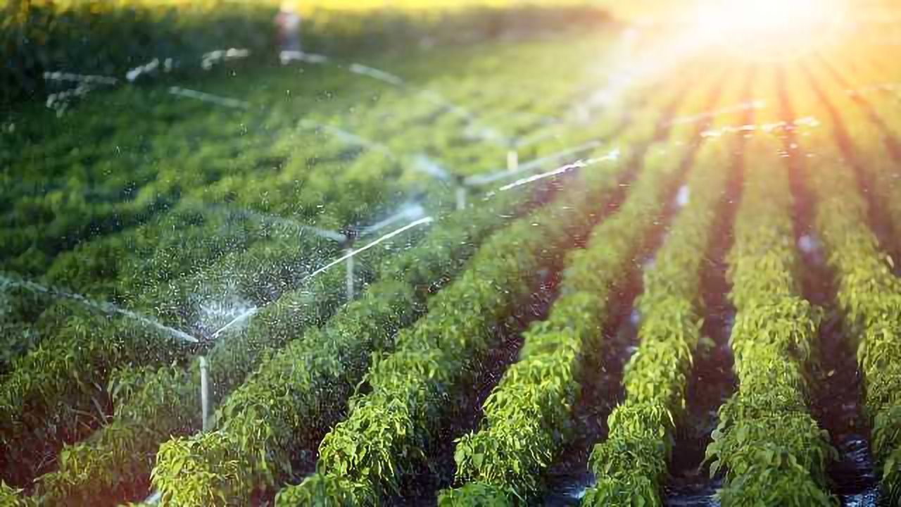 The Agricultural Perspective on Water Contamination by Pharmaceuticals