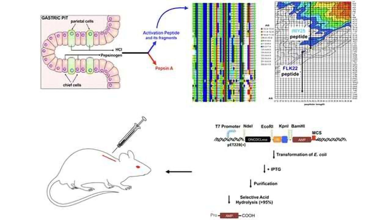 Antibiotic Candidates Discovered