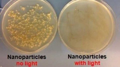 Weaponizing Oxygen to Kill Infections and Disease