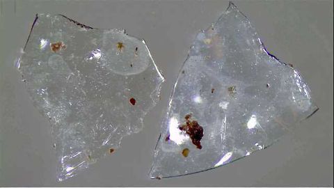 Contact Lenses are Costing the Environment