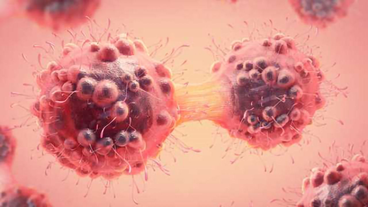 Sprouty 1 and Sprouty 2 Offer Potential to Combat Cancer
